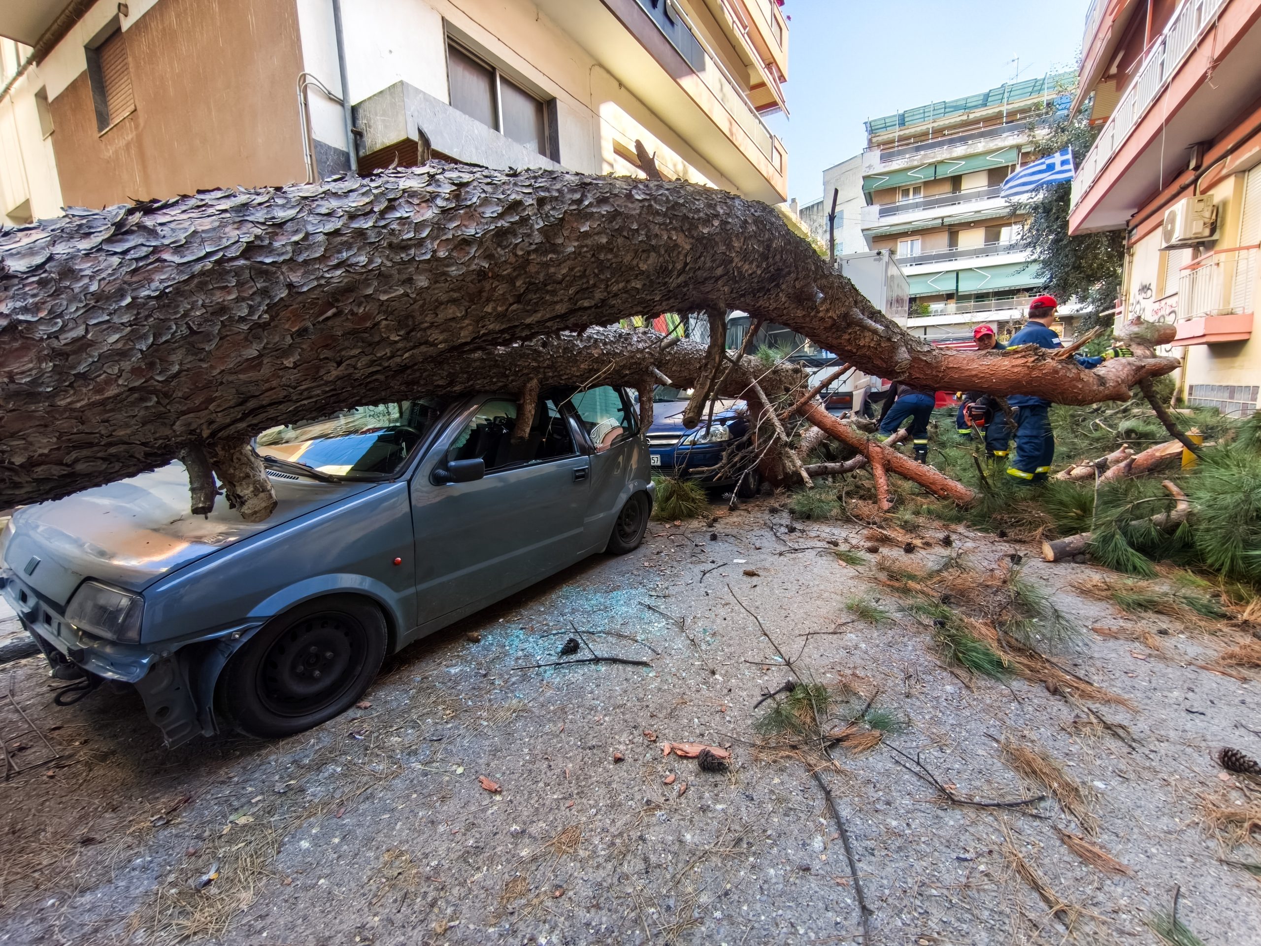 &Theta;&epsilon;&sigma;&sigma;&alpha;&lambda;&omicron;&nu;ί&kappa;&eta;: &Xi;&epsilon;&rho;&iota;&zeta;ώ&theta;&eta;&kappa;&alpha;&nu; 28 &delta;έ&nu;&tau;&rho;&alpha; &alpha;&pi;ό &tau;&omicron;&upsilon;&sigmaf; &theta;&upsilon;&epsilon;&lambda;&lambda;ώ&delta;&epsilon;&iota;&sigmaf; &alpha;&nu;έ&mu;&omicron;&upsilon;&sigmaf; - &Zeta;&eta;&mu;&iota;έ&sigmaf; &sigma;&epsilon; &eta;&lambda;&epsilon;&kappa;&tau;&rho;&omicron;&phi;ό&rho;&alpha; &kappa;&alpha;&lambda;ώ&delta;&iota;&alpha;
