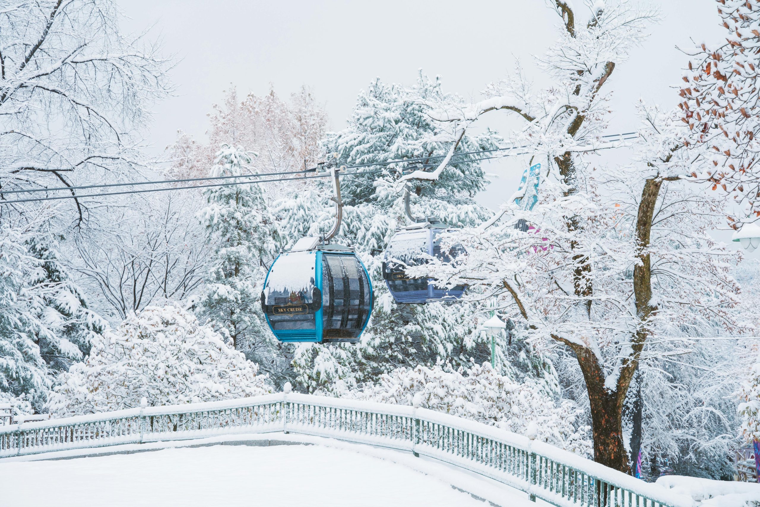 &Kappa;&alpha;&iota;&rho;ό&sigmaf;: &Pi;&omicron;&iota;&epsilon;&sigmaf; &pi;&epsilon;&rho;&iota;&omicron;&chi;έ&sigmaf; &theta;&alpha; &kappa;ά&nu;&omicron;&upsilon;&nu; &lambda;&epsilon;&upsilon;&kappa;ά &Chi;&rho;&iota;&sigma;&tau;&omicron;ύ&gamma;&epsilon;&nu;&nu;&alpha; - &Pi;ό&tau;&epsilon; &xi;&epsilon;&kappa;&iota;&nu;&omicron;ύ&nu; &tau;&alpha; έ&nu;&tau;&omicron;&nu;&alpha; &phi;&alpha;&iota;&nu;ό&mu;&epsilon;&nu;&alpha;