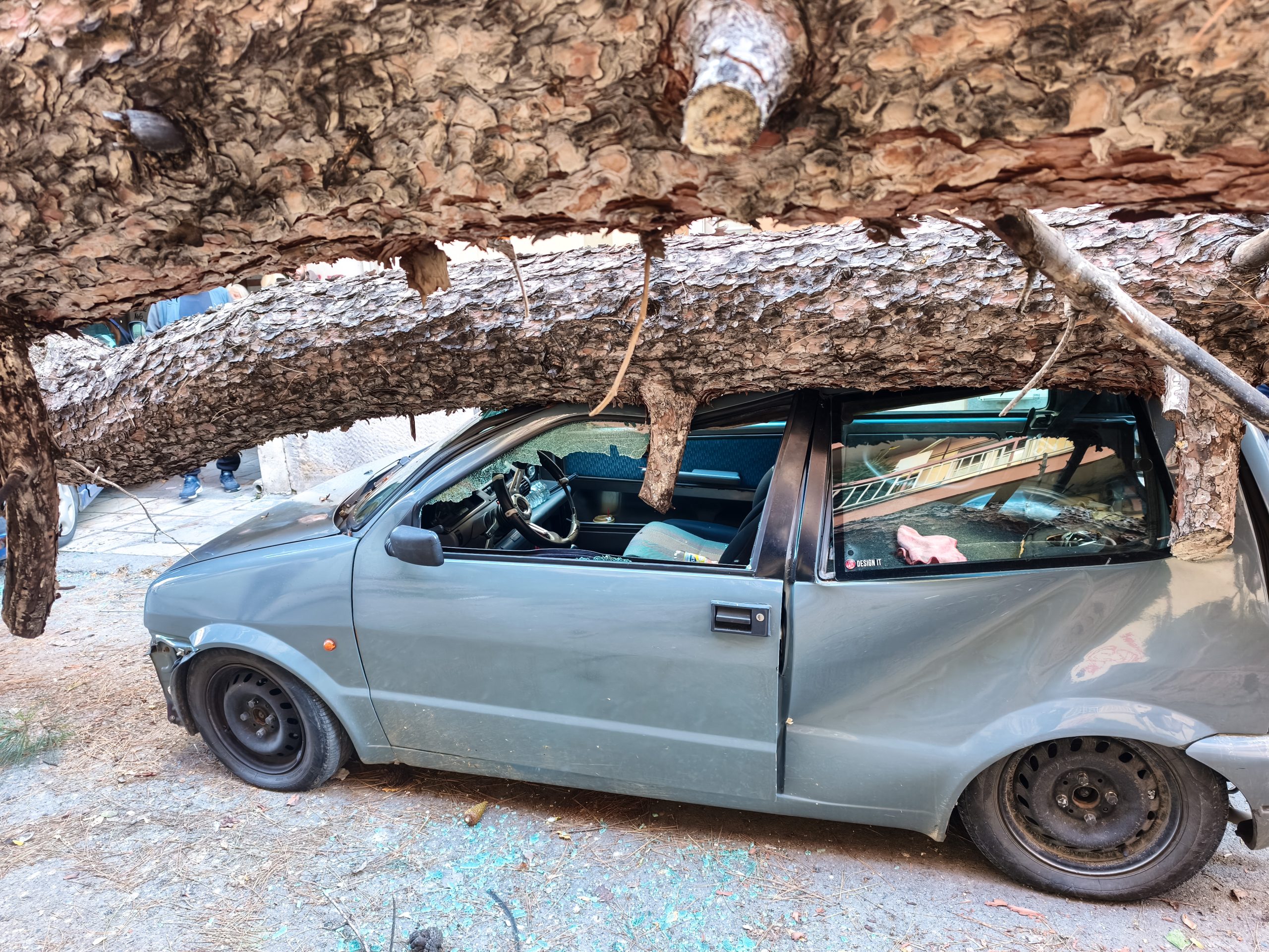Θεσσαλονίκη: Πτώση δέντρου προκάλεσε ζημιές σε σταθμευμένα αυτοκίνητα