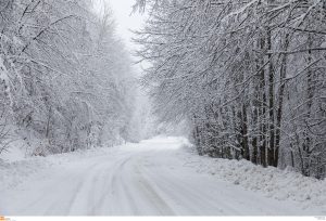 Σέρρες: Βούλγαροι κυνηγοί βρήκαν στα χιόνια το αυτοκίνητο του αγνοούμενου πυροσβέστη – Ραγδαίες εξελίξεις