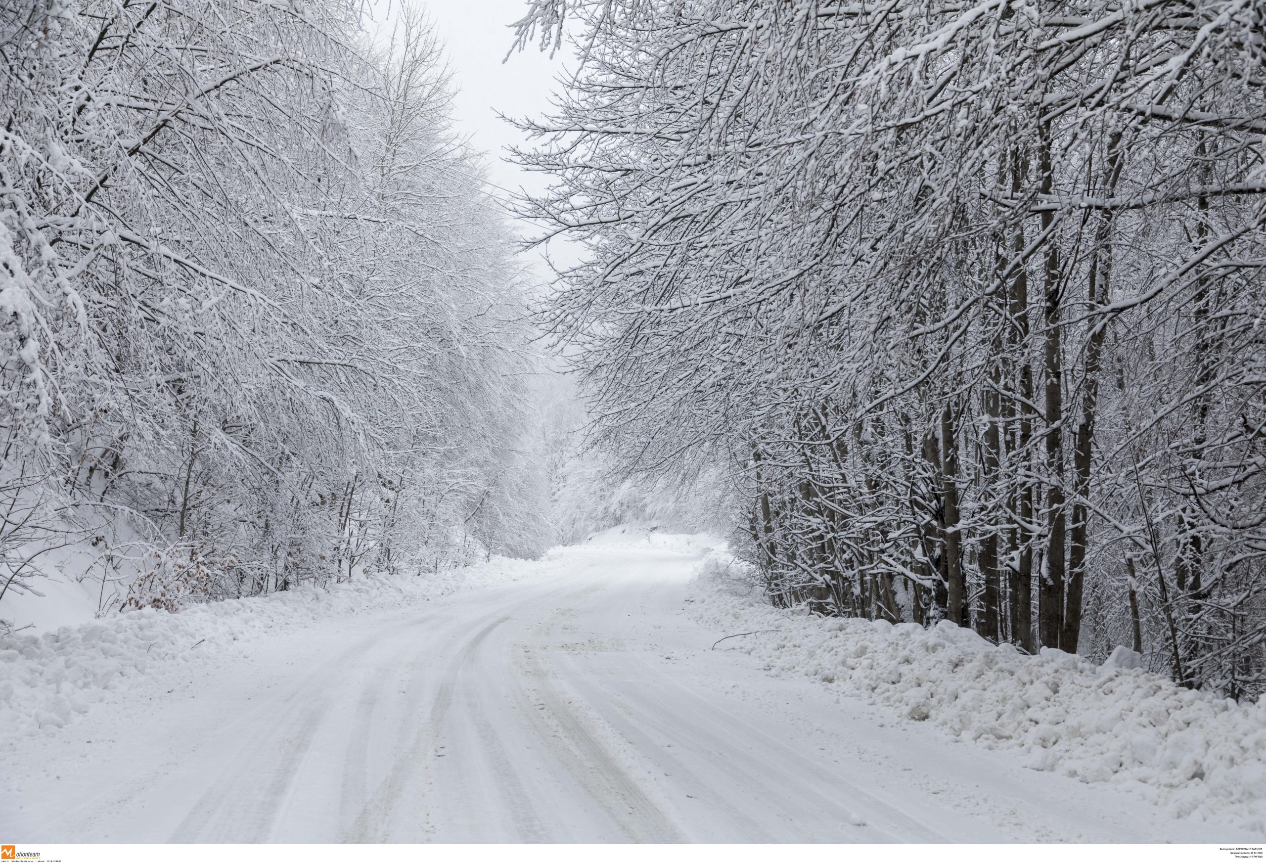 &Sigma;έ&rho;&rho;&epsilon;&sigmaf;: &Beta;&omicron;ύ&lambda;&gamma;&alpha;&rho;&omicron;&iota; &kappa;&upsilon;&nu;&eta;&gamma;&omicron;ί &beta;&rho;ή&kappa;&alpha;&nu; &sigma;&tau;&alpha; &chi;&iota;ό&nu;&iota;&alpha; &tau;&omicron; &alpha;&upsilon;&tau;&omicron;&kappa;ί&nu;&eta;&tau;&omicron; &tau;&omicron;&upsilon; &alpha;&gamma;&nu;&omicron;&omicron;ύ&mu;&epsilon;&nu;&omicron;&upsilon; &pi;&upsilon;&rho;&omicron;&sigma;&beta;έ&sigma;&tau;&eta; - &Rho;&alpha;&gamma;&delta;&alpha;ί&epsilon;&sigmaf; &epsilon;&xi;&epsilon;&lambda;ί&xi;&epsilon;&iota;&sigmaf;