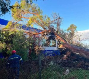Δέντρο έπεσε πάνω σε τρένο που εκτελούσε το δρομολόγιο Πύργος – Κατάκολο: Τραυματίστηκε ο οδηγός