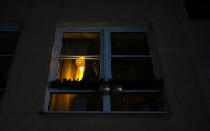 Το μεγαλύτερο blackout των τελευταίων 25 ετών στο Βερολίνο – Η ακροαριστερή οργάνωση Vulkan πίσω από την επίθεση