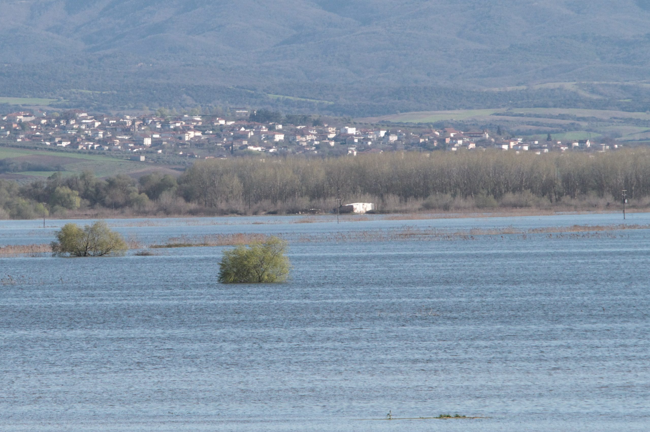 &Tau;&rho;&alpha;&gamma;&omega;&delta;ί&alpha; &sigma;&tau;&omicron;&nu; &Sigma;&tau;&rho;&upsilon;&mu;ώ&nu;&alpha;: Ά&nu;&delta;&rho;&alpha;&sigmaf; &pi;&nu;ί&gamma;&eta;&kappa;&epsilon; &sigma;&tau;&omicron;&nu; &pi;&omicron;&tau;&alpha;&mu;ό ό&tau;&alpha;&nu; &alpha;&nu;&alpha;&tau;&rho;ά&pi;&eta;&kappa;&epsilon; &eta; &beta;ά&rho;&kappa;&alpha; &pi;&omicron;&upsilon; &epsilon;&pi;έ&beta;&alpha;&iota;&nu;&epsilon;