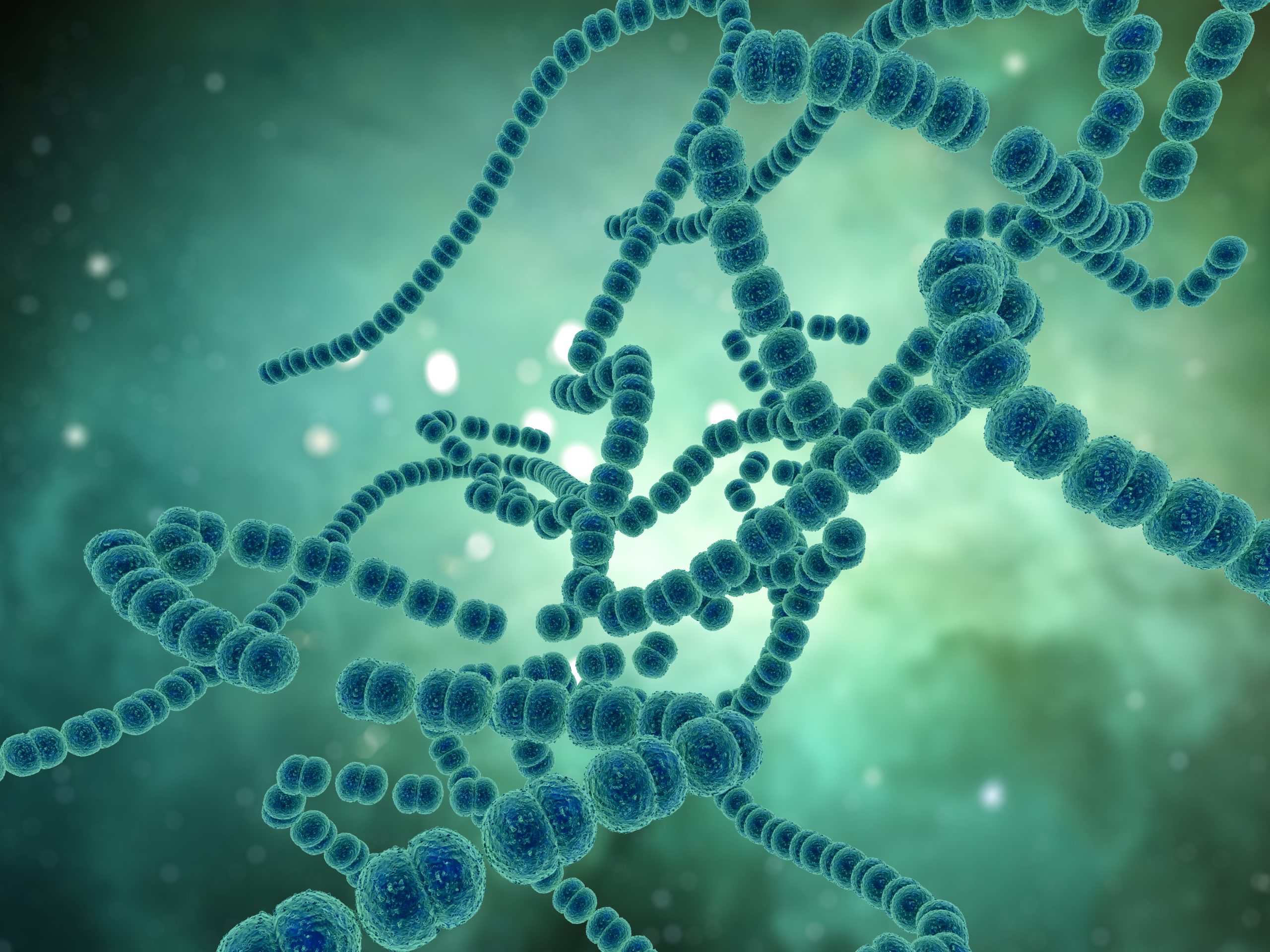 &Sigma;&upsilon;&nu;&alpha;&gamma;&epsilon;&rho;&mu;ό&sigmaf; &gamma;&iota;&alpha; &tau;&omicron;&nu; &alpha;&nu;&theta;&epsilon;&kappa;&tau;&iota;&kappa;ό &mu;ύ&kappa;&eta;&tau;&alpha; Candida auris