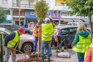 Ο Δήμος Πειραιά φύτεψε 22 νέα δέντρα στο Πασαλιμάνι – Νέα «πνοή» στην πόλη