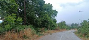 Καθαρισμός οικοπέδων: Τι αλλάζει στο νομοσχέδιο και ποιες ενστάσεις θέτει η ΠΟΜΙΔΑ