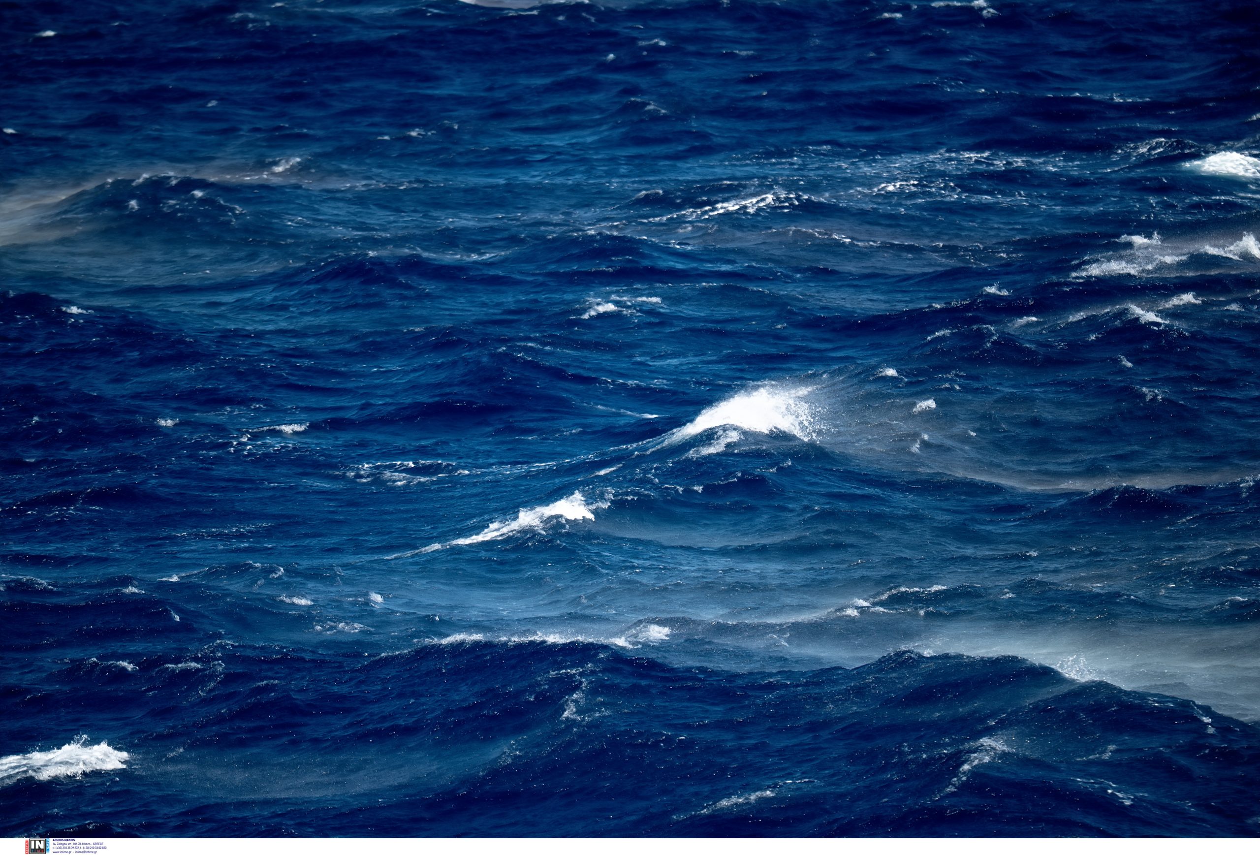 &Alpha;&pi;&omicron;&kappa;&lambda;&epsilon;&iota;&sigma;&mu;έ&nu;&eta; &eta; &Gamma;&alpha;ύ&delta;&omicron;&sigmaf; &gamma;&iota;&alpha; 14&eta; &mu;έ&rho;&alpha; &ndash; &Eta; &delta;ή&mu;&alpha;&rho;&chi;&omicron;&sigmaf; &Lambda;ί&lambda;&iota;&alpha;&nu; &Sigma;&tau;&epsilon;&phi;&alpha;&nu;ά&kappa;&eta; &mu;ί&lambda;&eta;&sigma;&epsilon; &sigma;&tau;&alpha; &Nu;&Epsilon;&Alpha; &gamma;&iota;&alpha; &tau;&eta;&nu; &epsilon;&pi;ά&rho;&kappa;&epsilon;&iota;&alpha; &beta;&alpha;&sigma;&iota;&kappa;ώ&nu; &pi;&rho;&omicron;&mu;&eta;&theta;&epsilon;&iota;ώ&nu;