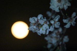 Σελήνη του Χιονιού: Πότε θα φωτίσει τον νυχτερινό ουρανό η εντυπωσιακή πανσέληνος