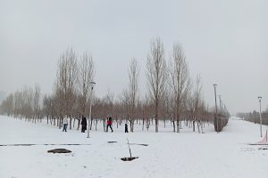 Στα λευκά η Φλώρινα: Κλειστά τα σχολεία τη Δευτέρα – Live εικόνα από την πόλη