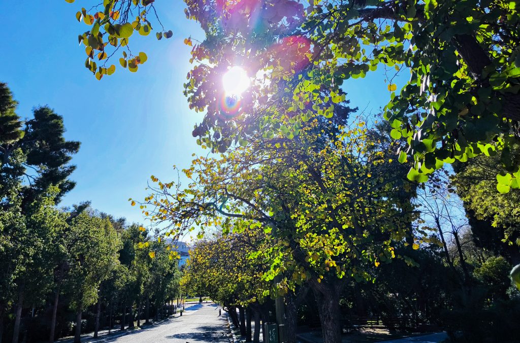 Αλκυονίδες μέρες: Τι είναι, πότε εμφανίζονται και πόσο διαρκούν – Πότε έρχονται στη χώρα