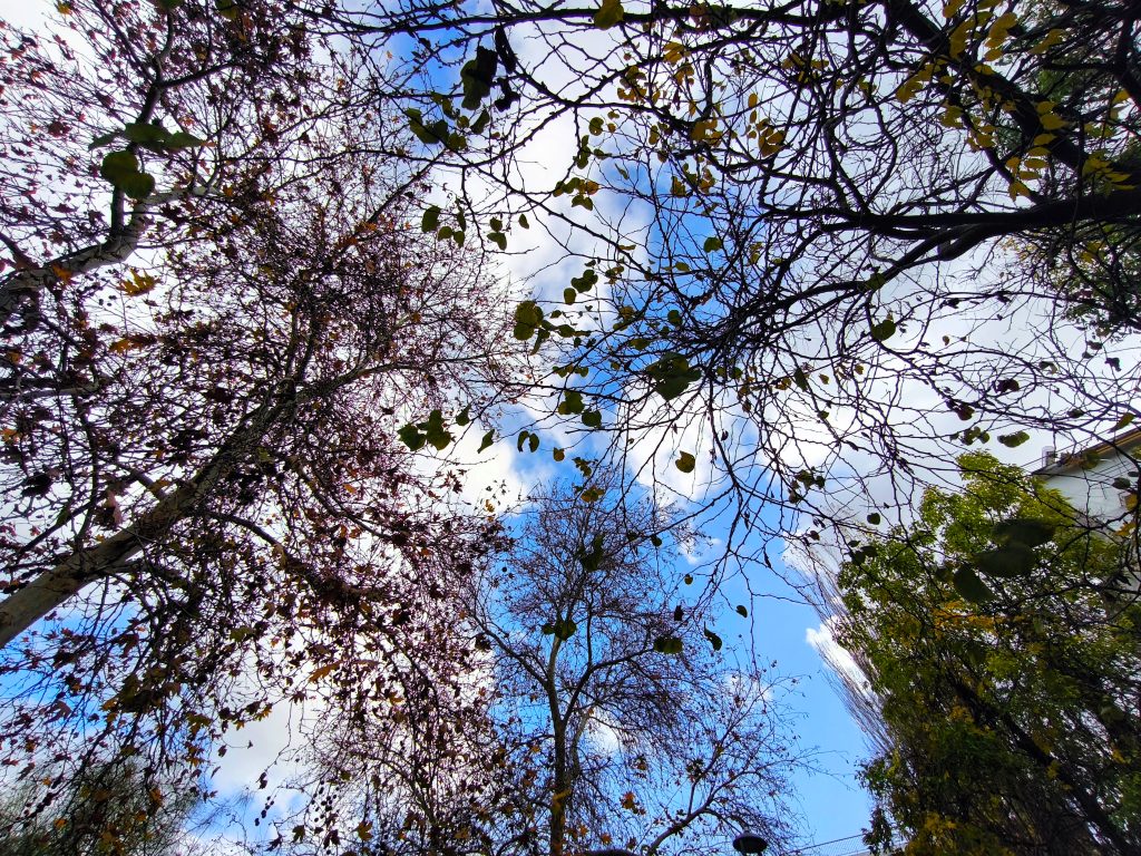 Καιρός: Αίθριες συνθήκες και άνοδος της θερμοκρασίας την Τετάρτη  – Η πρόγνωση της Ελίνας Καρέτσου