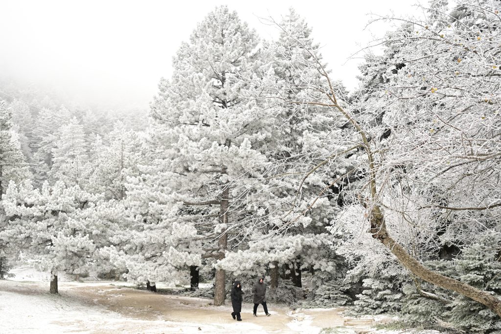 Καιρός: Στροφή σε χειμωνιάτικο σκηνικό από το Σάββατο, πρόγνωση από την Ελίνα Καρέτσου – Τι περιμένουμε 