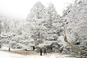 Καιρός: Στροφή σε χειμωνιάτικο σκηνικό από το Σάββατο – Τι περιμένουμε 