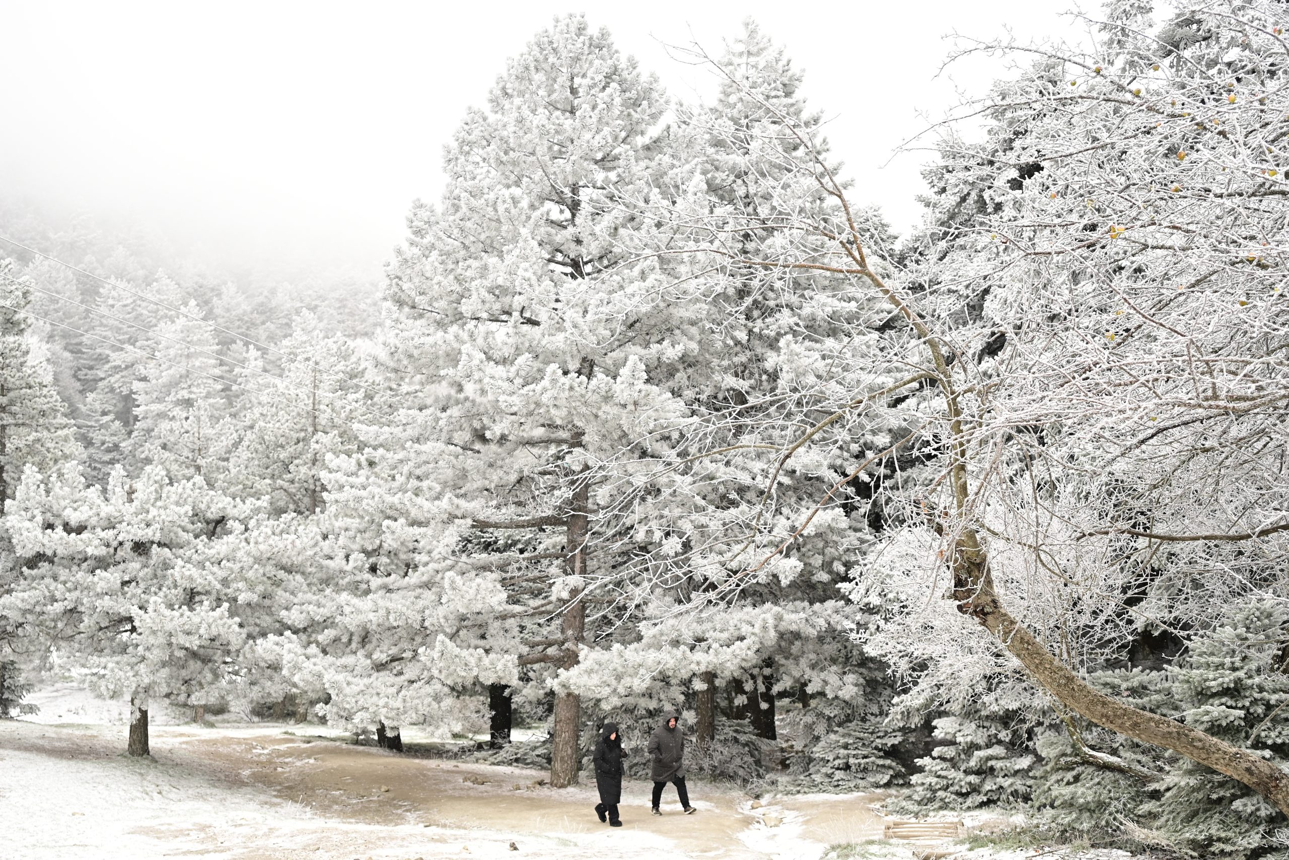 &Kappa;&alpha;&iota;&rho;ό&sigmaf;: &Sigma;&tau;&rho;&omicron;&phi;ή &sigma;&epsilon; &chi;&epsilon;&iota;&mu;&omega;&nu;&iota;ά&tau;&iota;&kappa;&omicron; &sigma;&kappa;&eta;&nu;&iota;&kappa;ό &alpha;&pi;ό &tau;&omicron; &Sigma;ά&beta;&beta;&alpha;&tau;&omicron;