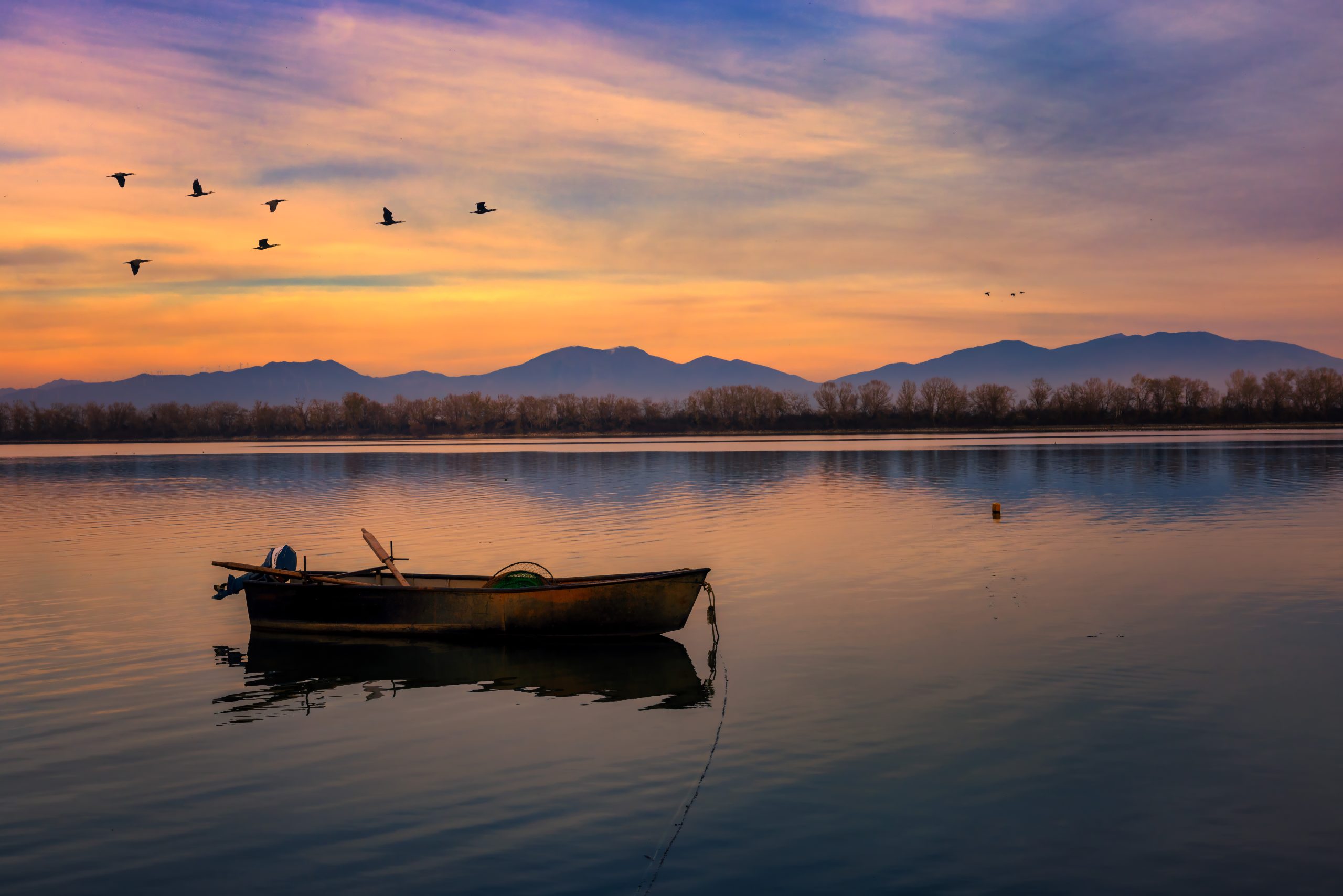Ό&tau;&alpha;&nu; &eta; &Kappa;&epsilon;&rho;&kappa;ί&nu;&eta; &beta;ά&phi;&epsilon;&tau;&alpha;&iota; &mu;&omega;&beta;: &Tau;&omicron; &eta;&lambda;&iota;&omicron;&beta;&alpha;&sigma;ί&lambda;&epsilon;&mu;&alpha; &pi;&omicron;&upsilon; &delta;&epsilon;&nu; &theta;έ&lambda;&epsilon;&iota;&sigmaf; &nu;&alpha; &chi;ά&sigma;&epsilon;&iota;&sigmaf; &ndash; &Epsilon;&iota;&kappa;ό&nu;&epsilon;&sigmaf; &pi;&omicron;&upsilon; &kappa;ό&beta;&omicron;&upsilon;&nu; &tau;&eta;&nu; &alpha;&nu;ά&sigma;&alpha;