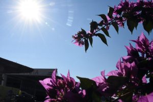 Καιρός: Έρχονται Αλκυονίδες μέρες; Τα στοιχεία που δείχνουν ότι έιμαστε κοντά