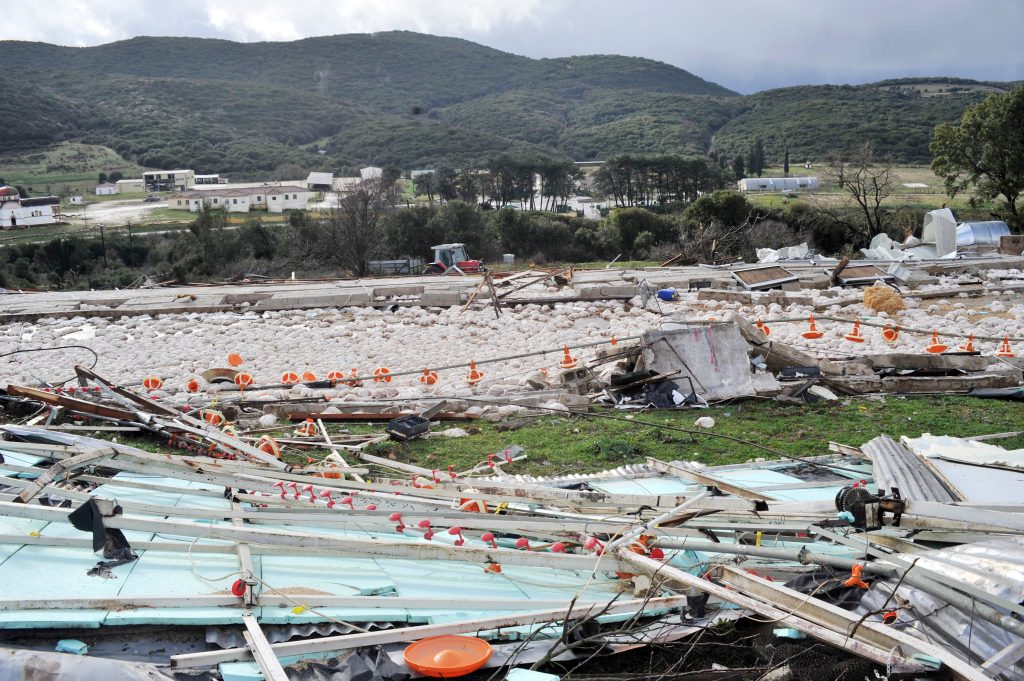 Ιωάννινα: Ισχυρός ανεμοστρόβιλος ισόπεδωσε πτηνοτροφική  μονάδα – Νεκρά 40.000 κοτόπουλα