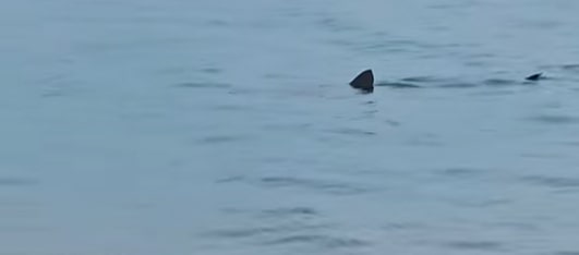 &Lambda;&omicron;&upsilon;&tau;&rho;ά&kappa;&iota;: &Kappa;&alpha;&rho;&chi;&alpha;&rho;ί&alpha;&sigmaf; &epsilon;&theta;έ&alpha;&theta;&eta; &nu;&alpha; &kappa;&omicron;&lambda;&upsilon;&mu;&pi;ά &kappa;&omicron;&nu;&tau;ά &sigma;&tau;&eta;&nu; &alpha;&kappa;&tau;ή