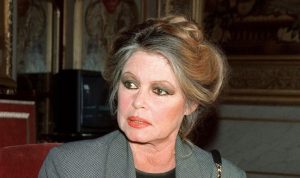 Δημοσιογράφος της Vogue δέχθηκε επίθεση από θαυμαστές της  Μπριζίτ Μπαρντό μετά από επικριτικό άρθρο