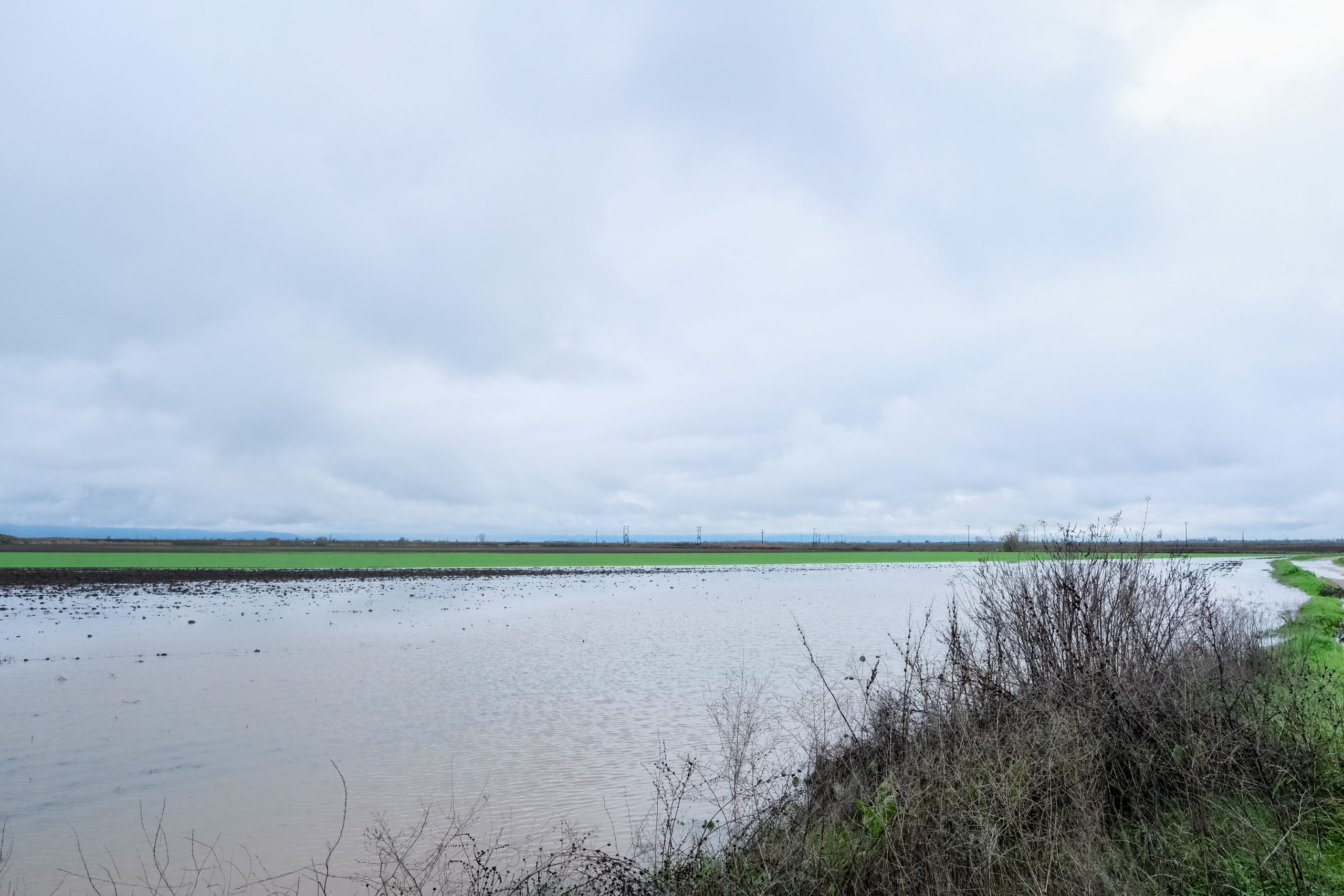 &Rho;&omicron;&delta;ό&pi;&eta;: Ά&nu;&delta;&rho;&alpha;&sigmaf; &alpha;&gamma;&nu;&omicron;&epsilon;ί&tau;&alpha;&iota; &sigma;&tau;&omicron;&nu; &pi;&omicron;&tau;&alpha;&mu;ό &Lambda;ί&sigma;&sigma;&omicron; &ndash; &Sigma;&epsilon; &epsilon;&xi;έ&lambda;&iota;&xi;&eta; έ&rho;&epsilon;&upsilon;&nu;&alpha; &gamma;&iota;&alpha; &tau;&omicron;&nu; &epsilon;&nu;&tau;&omicron;&pi;&iota;&sigma;&mu;ό &tau;&omicron;&upsilon;