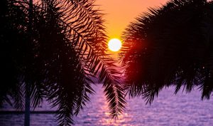 Έρχονται οι Αλκυονίδες μέρες: Πότε ο καιρός θα θυμίζει άνοιξη