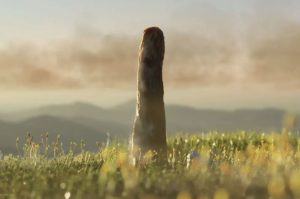 Σπουδαία ανακάλυψη: Μια εντελώς νέα μορφή ζωής ύψους οκτώ μέτρων και ηλικίας 410 εκατ. ετών