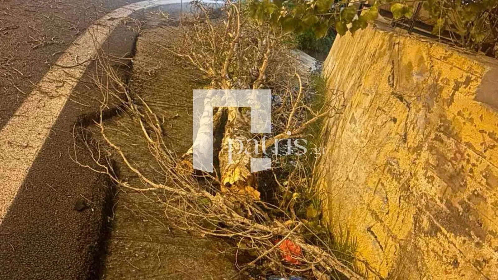 &Pi;&rho;&omicron;&beta;&lambda;ή&mu;&alpha;&tau;&alpha; &sigma;&tau;&eta;&nu; &Kappa;&rho;ή&tau;&eta; &alpha;&pi;ό &tau;&omicron;&upsilon;&sigmaf; &iota;&sigma;&chi;&upsilon;&rho;&omicron;ύ&sigmaf; &alpha;&nu;έ&mu;&omicron;&upsilon;&sigmaf; &ndash; &Delta;έ&nu;&tau;&rho;&omicron; έ&pi;&epsilon;&sigma;&epsilon; &sigma;&tau;&omicron;&nu; &Beta;&Omicron;&Alpha;&Kappa;