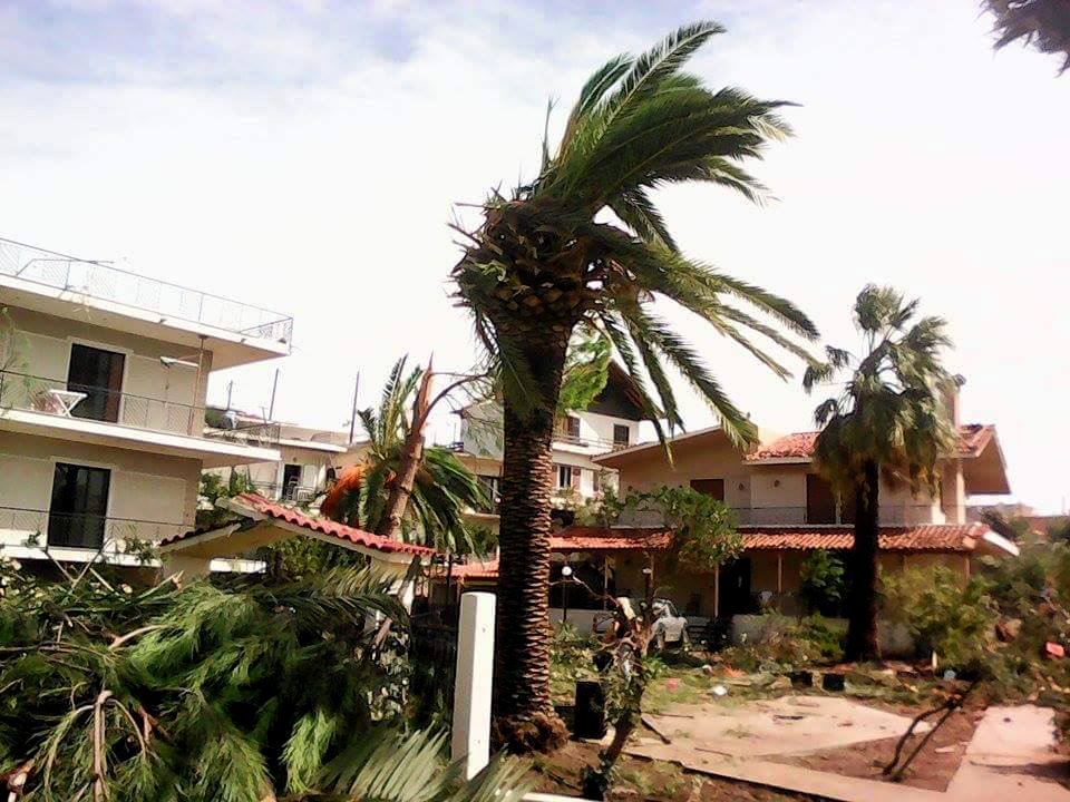 Ανεμοστρόβιλος στο Καλπάκι κατέστρεψε ολοσχερώς μεγάλη πτηνοτροφική μονάδα