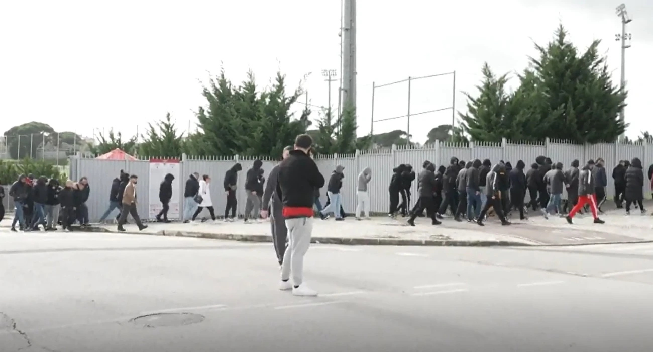 &Delta;&iota;&alpha;&mu;&alpha;&rho;&tau;&upsilon;&rho;ί&alpha; &omicron;&pi;&alpha;&delta;ώ&nu; &sigma;&tau;&eta; &Mu;&pi;&epsilon;&nu;&phi;ί&kappa;&alpha;: &Pi;&alpha;&rho;ά&pi;&omicron;&nu;&alpha; &sigma;&epsilon; &Mu;&omicron;&upsilon;&rho;ί&nu;&iota;&omicron; &kappa;&alpha;&iota; &delta;&iota;&omicron;ί&kappa;&eta;&sigma;&eta; &gamma;&iota;&alpha; &tau;&alpha; &alpha;&rho;&nu;&eta;&tau;&iota;&kappa;ά &alpha;&pi;&omicron;&tau;&epsilon;&lambda;έ&sigma;&mu;&alpha;&tau;&alpha;