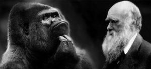 Οι επιστήμονες «διαβάζουν» τα δείγματα του Δαρβίνου 200 χρόνια μετά