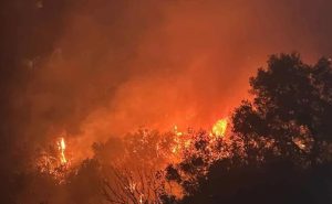 Πρόλαβαν τη φωτιά στην Κίσσαμο Χανίων – Οι ισχυροί άνεμοι την έφεραν κοντά σε σπίτια