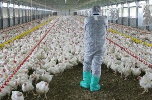 Πόσο κόντα είμαστε σε νέα πανδημία; Ο επόμενος «υγειονομικός εφιάλτης» – Γιατί δεν έχουμε αντισώματα