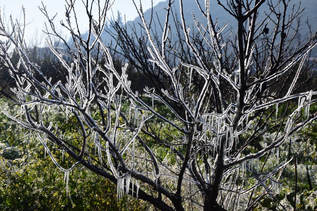 Καιρός: «Βουτιά» της θερμοκρασίας – Χιόνια και πολική εισβολή από το Σάββατο
