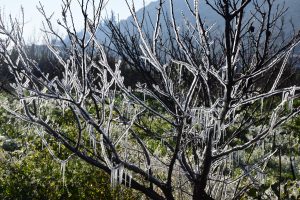 Καιρός: «Βουτιά» της θερμοκρασίας – Χιόνια και πολική εισβολή από το Σάββατο