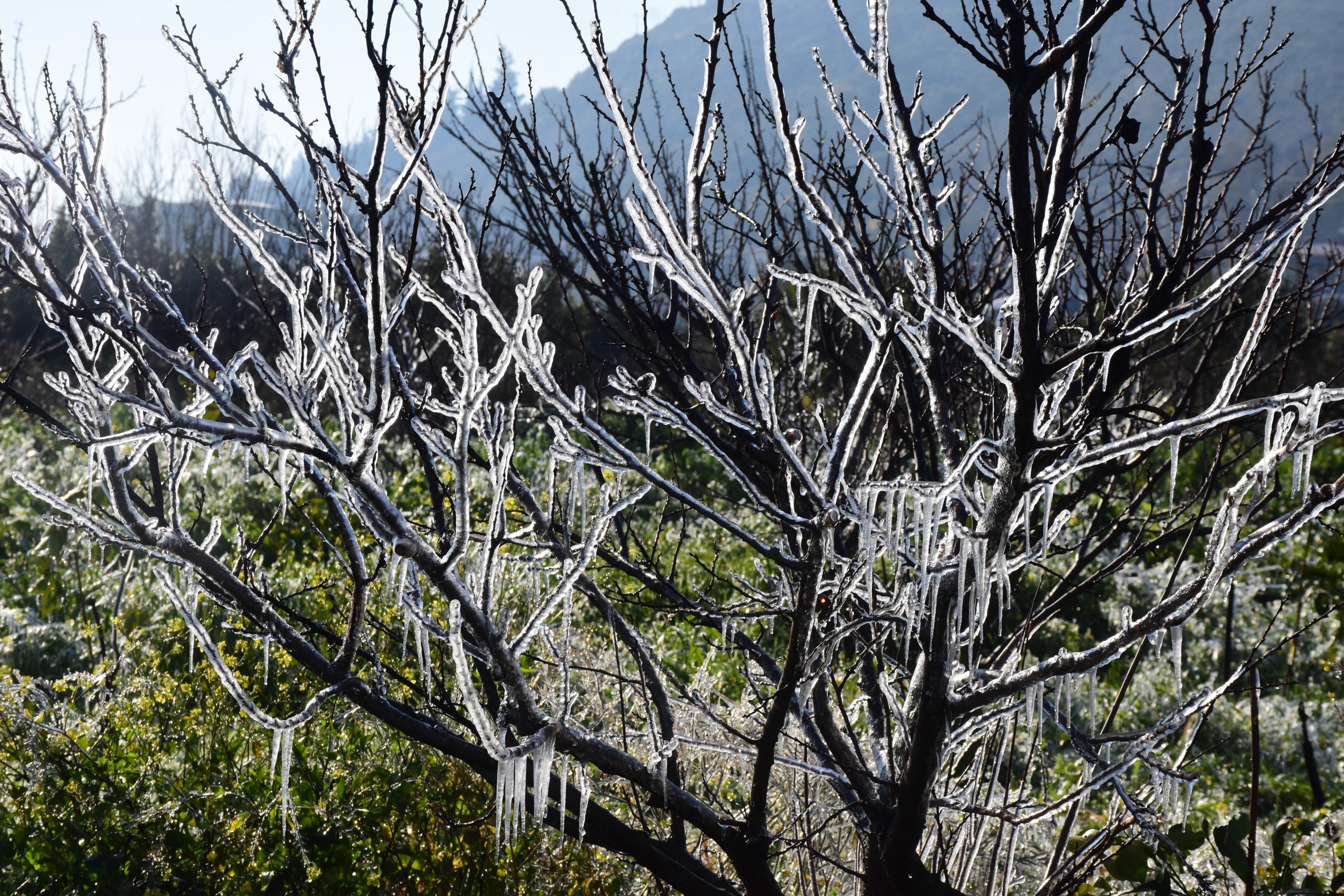 &Kappa;&alpha;&iota;&rho;ό&sigmaf;: &laquo;&Beta;&omicron;&upsilon;&tau;&iota;ά&raquo; &tau;&eta;&sigmaf; &theta;&epsilon;&rho;&mu;&omicron;&kappa;&rho;&alpha;&sigma;ί&alpha;&sigmaf; &ndash; &Chi;&iota;ό&nu;&iota;&alpha; &kappa;&alpha;&iota; &pi;&omicron;&lambda;&iota;&kappa;ή &epsilon;&iota;&sigma;&beta;&omicron;&lambda;ή &alpha;&pi;ό &tau;&omicron; &Sigma;ά&beta;&beta;&alpha;&tau;&omicron;