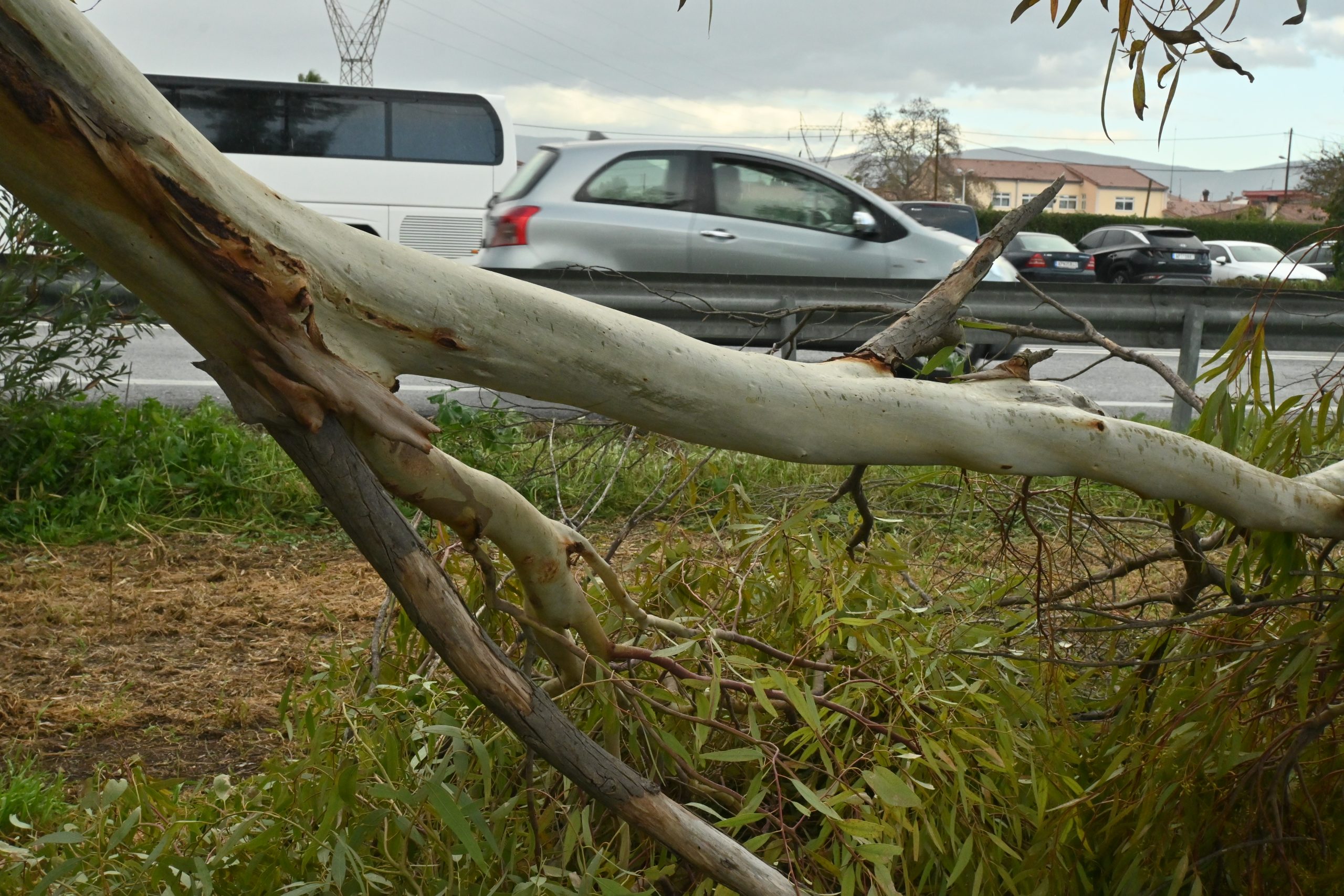 &Kappa;&alpha;&kappa;&omicron;&kappa;&alpha;&iota;&rho;ί&alpha;: &Tau;&iota; &theta;&alpha; &gamma;&iota;&nu;ό&tau;&alpha;&nu; &alpha;&nu; &eta; &kappa;&alpha;&tau;&alpha;&iota;&gamma;ί&delta;&alpha; &tau;&eta;&sigmaf; &Alpha;&lambda;&epsilon;&xi;&alpha;&nu;&delta;&rho;&omicron;ύ&pi;&omicron;&lambda;&eta;&sigmaf; &chi;&tau;&upsilon;&pi;&omicron;ύ&sigma;&epsilon; &tau;&eta;&nu; &Alpha;&theta;ή&nu;&alpha;; &Omicron;&iota; &rho;&iota;&pi;έ&sigmaf; &tau;&omega;&nu; 155&chi;&lambda;&mu; &kappa;&alpha;&iota; &tau;&alpha; &chi;&iota;ό&nu;&iota;&alpha; &pi;&omicron;&upsilon;&hellip; &alpha;&gamma;&nu;&omicron;&omicron;ύ&nu;&tau;&alpha;&iota;