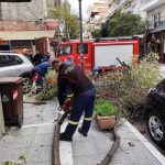 Κατερίνη: Σοκαριστικό βίντεο από πτώση δέντρου ανάμεσα σε πεζούς