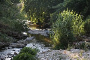 Κηφισός: Ο δεύτερος θάνατος – Σε επίπεδα ρεκόρ η ρύπανση