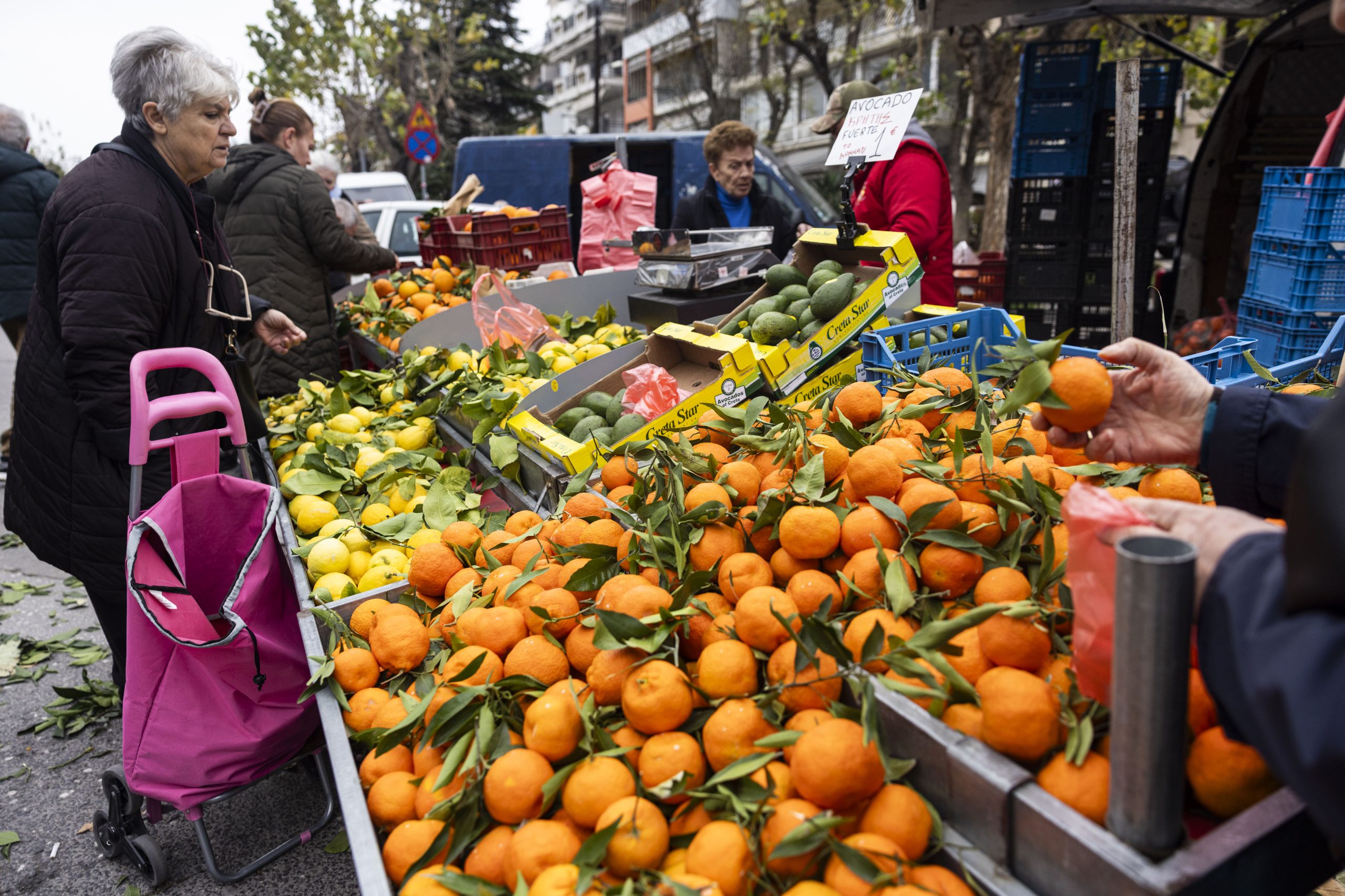&Pi;&alpha;&nu;&epsilon;&lambda;&lambda;&alpha;&delta;&iota;&kappa;ή &alpha;&pi;&epsilon;&rho;&gamma;ί&alpha; &sigma;&tau;&iota;&sigmaf; &lambda;&alpha;ϊ&kappa;έ&sigmaf; &alpha;&gamma;&omicron;&rho;έ&sigmaf; ό&lambda;&eta;&sigmaf; &tau;&eta;&sigmaf; &chi;ώ&rho;&alpha;&sigmaf;
