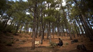 Mακροζωία: Το μυστικό που κρύβεται στα αρχαία γονίδια κυνηγών – τροφοσυλλεκτών