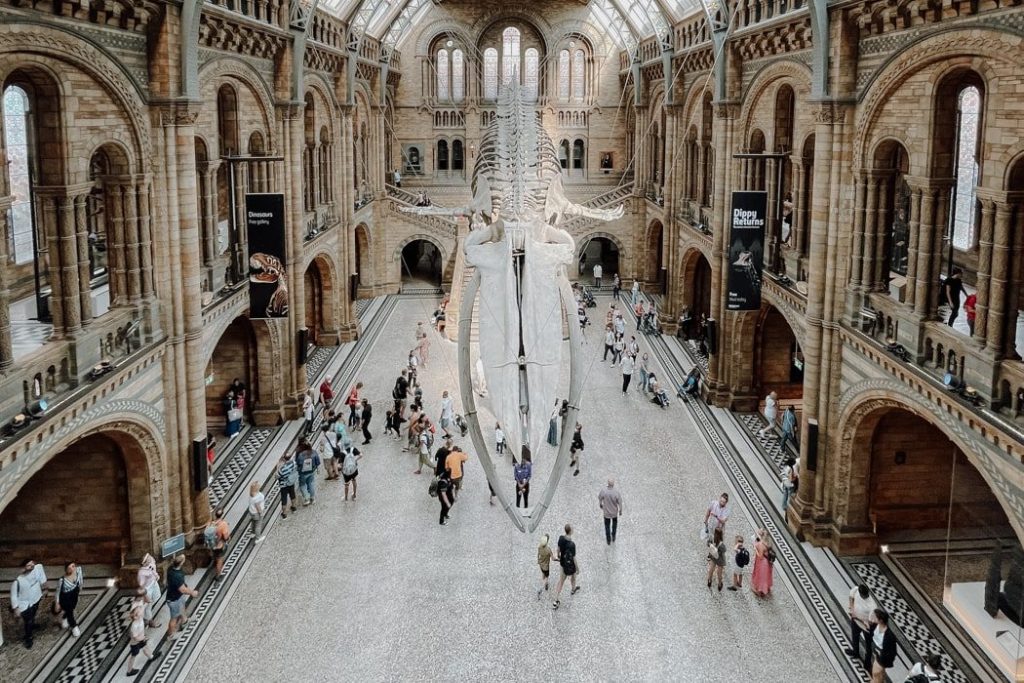 Το 2026 φέρνει νέα μουσεία σε όλον τον κόσμο