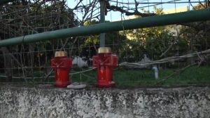 Ναύπακτος: Θρίλερ δίχως τέλος με τον θάνατο των δύο αδερφών – Η ιατροδικαστική έρευνα και οι πέντε διαθήκες