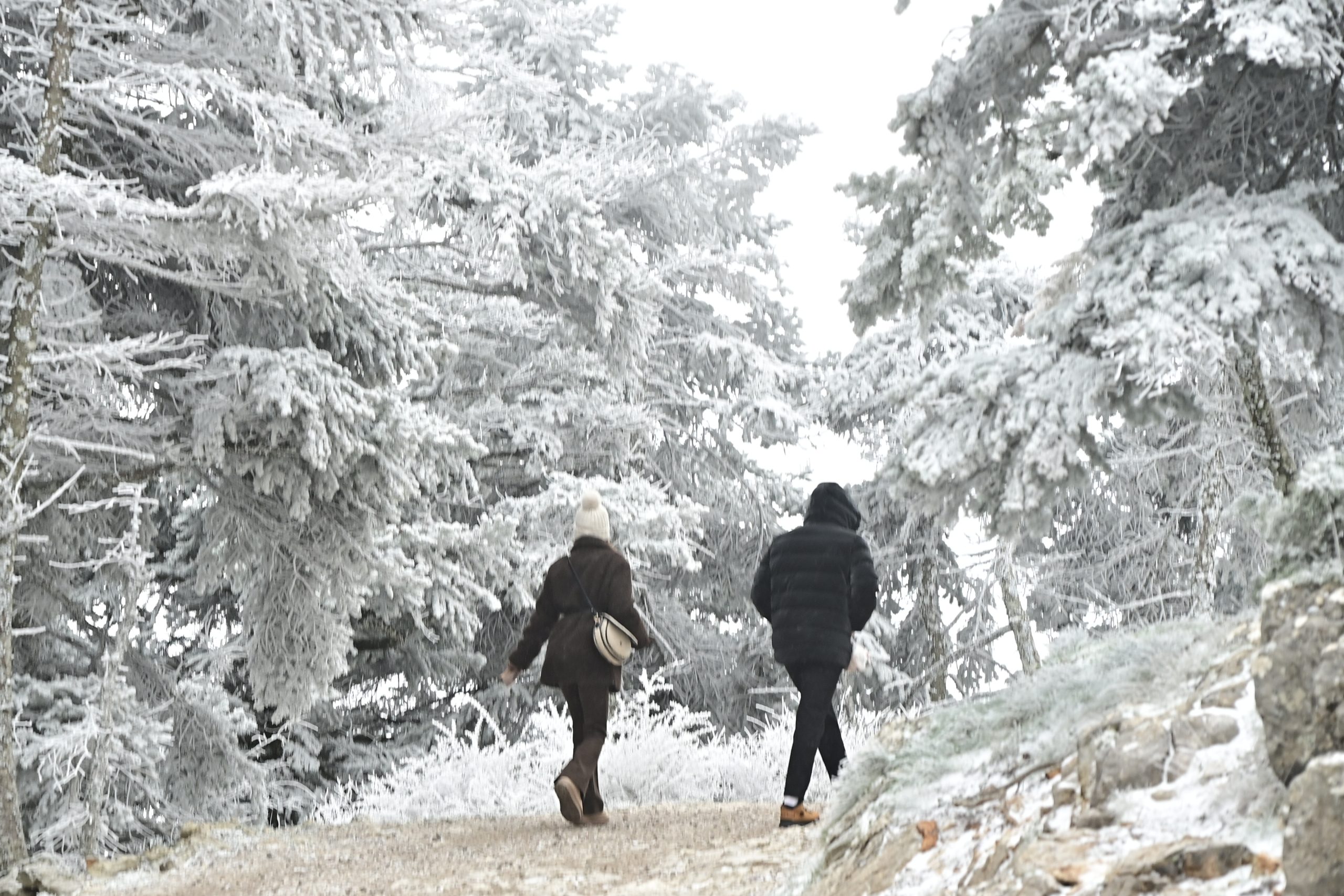 &Sigma;&tau;&alpha; &lambda;&epsilon;&upsilon;&kappa;ά &eta; &Pi;ά&rho;&nu;&eta;&theta;&alpha;: &Pi;&omicron;ύ &theta;&alpha; &chi;&iota;&omicron;&nu;ί&sigma;&epsilon;&iota; &tau;&iota;&sigmaf; &epsilon;&pi;ό&mu;&epsilon;&nu;&epsilon;&sigmaf; &mu;έ&rho;&epsilon;&sigmaf; &kappa;&alpha;&iota; &tau;&iota; &theta;&alpha; &gamma;ί&nu;&epsilon;&iota; &sigma;&tau;&eta;&nu; &Alpha;&tau;&tau;&iota;&kappa;ή (&beta;ί&nu;&tau;&epsilon;&omicron;)