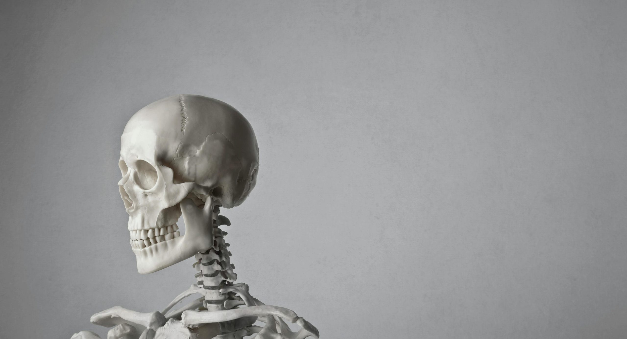 &Eta; &sigma;ύ&phi;&iota;&lambda;&eta; &kappa;&omicron;&upsilon;&beta;&alpha;&lambda;ά έ&nu;&alpha; &iota;&sigma;&tau;&omicron;&rho;&iota;&kappa;ό &mu;&upsilon;&sigma;&tau;ή&rho;&iota;&omicron;: &Alpha;&pi;ό &pi;&omicron;ύ &xi;&epsilon;&kappa;ί&nu;&eta;&sigma;&epsilon;; &Nu;έ&alpha; &alpha;&nu;&alpha;&kappa;ά&lambda;&upsilon;&psi;&eta; &alpha;&nu;&alpha;&tau;&rho;έ&pi;&epsilon;&iota; &tau;&alpha; &delta;&epsilon;&delta;&omicron;&mu;έ&nu;&alpha;