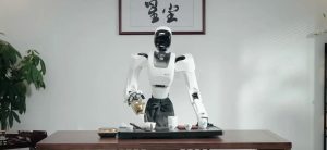 Τα οικιακά ρομπότ παίρνουν το σίδερο και βάζουν πλυντήριο