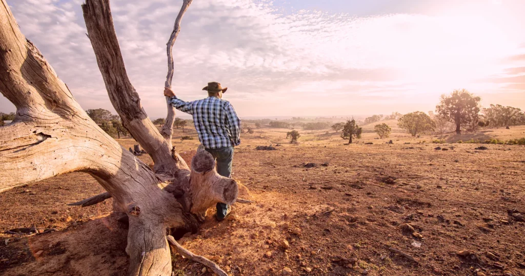 Σε συναγερμό η Αυστραλία από τον καύσωνα – 45άρια ακόμη και τη νύχτα μια μέρες