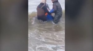 Στρυμόνας: «Πήρα την απόφαση και μπήκα» – Ο ήρωας σέρφερ που έσωσε ψαρά