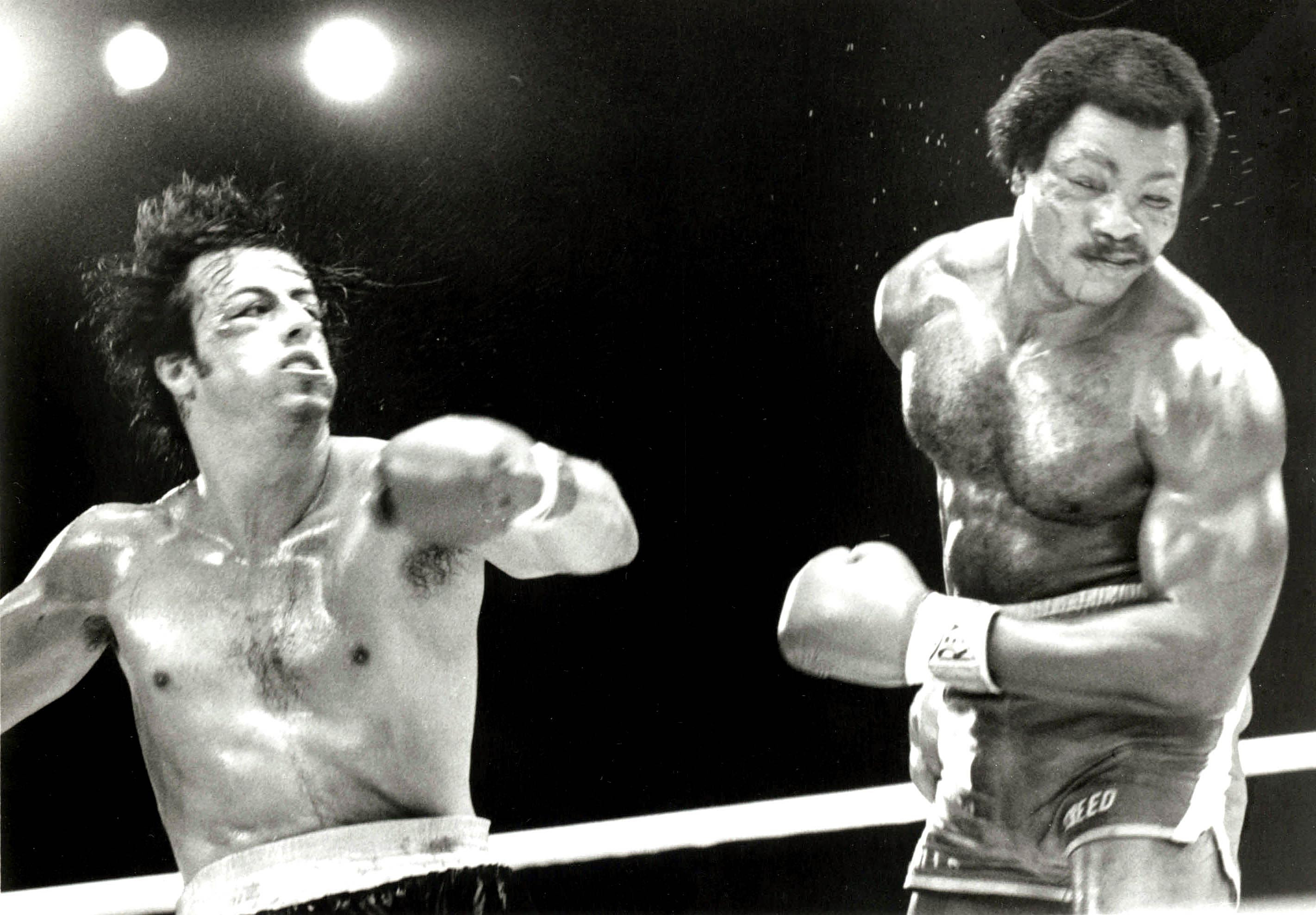 &laquo;Rocky&raquo;: &Sigma;&pi;ά&nu;&iota;&omicron; &beta;ί&nu;&tau;&epsilon;&omicron; &alpha;&pi;ό &tau;&alpha; &pi;&alpha;&rho;&alpha;&sigma;&kappa;ή&nu;&iota;&alpha; &tau;&omega;&nu; &gamma;&upsilon;&rho;&iota;&sigma;&mu;ά&tau;&omega;&nu; &mu;&epsilon; &tau;&omicron;&nu; Apollo