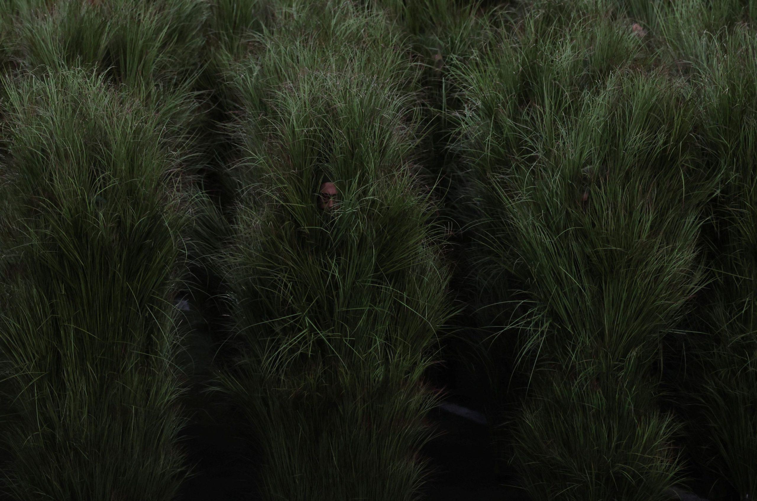 Super Bowl LX: &Pi;ό&sigma;&alpha; &chi;&rho;ή&mu;&alpha;&tau;&alpha; &pi;ή&rho;&alpha;&nu; &omicron;&iota; &laquo;&theta;ά&mu;&nu;&omicron;&iota;&raquo; &sigma;&tau;&omicron; halftime show &mu;&epsilon; &tau;&omicron;&nu; Bad Bunny